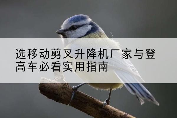新干电动升降机厂家-选移动剪叉升降机厂家与登高车必看实用指南