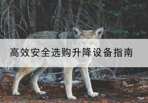 新干升降货梯厂家推荐-*安全选购升降设备指南