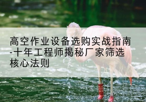 新干剪叉式升降机厂家-高空作业设备选购实战指南-十年工程师揭秘厂家筛选核心法则